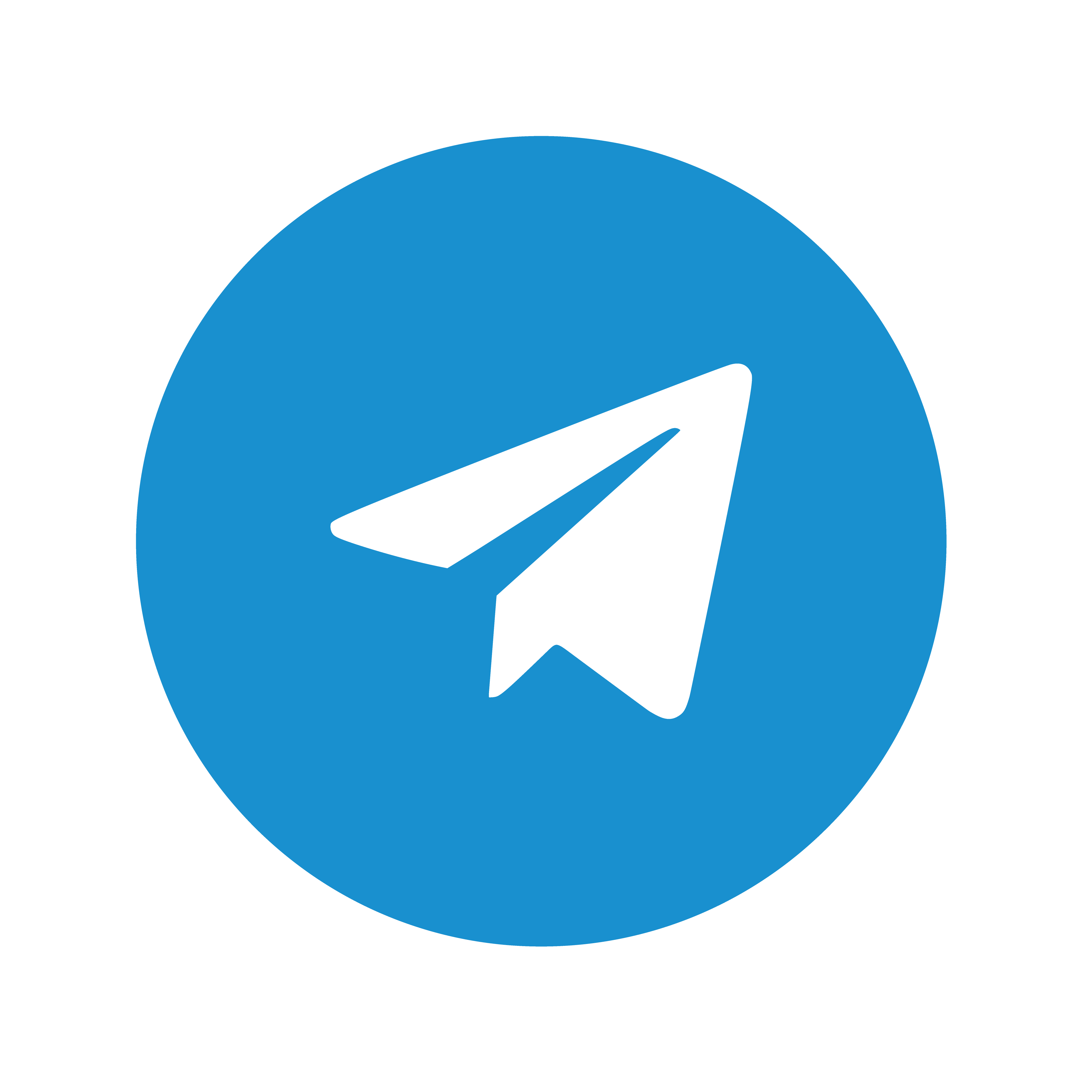 Telegram Sextortion: What Parents Need To Know Now - aerkjat